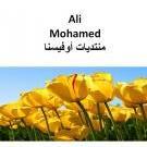 Ali Mohamed Ali